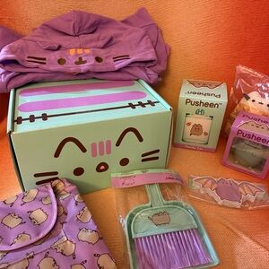 Pusheen Fall 2019 Subscription box
